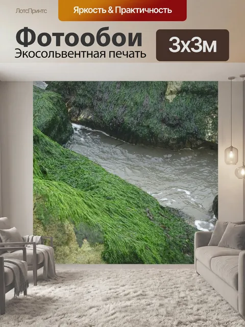 Фотообои Скалы Зеленый Водоросли на океан