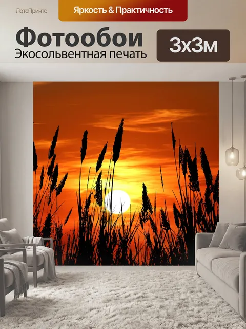 Фотообои Трава силуэт заката