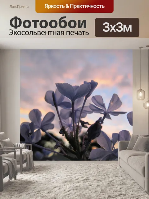 Фотообои графит цветы на фоне неба