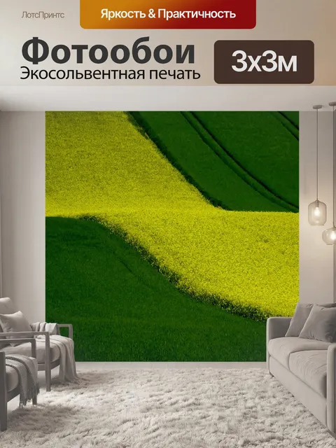 Фотообои Поле рапса