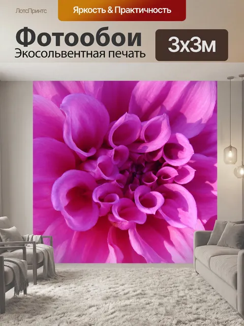 Фотообои Розовая хризантема