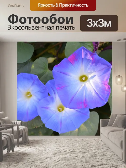Фотообои Африке