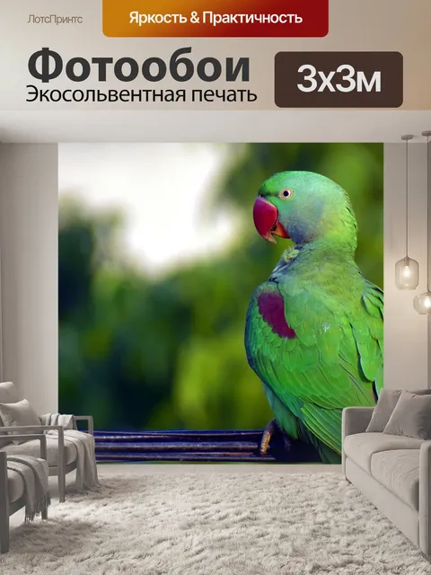 Фотообои Попугай