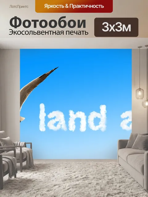 Фотообои Чайка