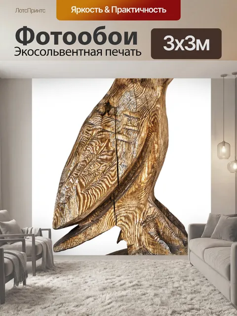 Фотообои Сова