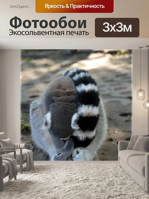 Фотообои Кошачий лемур 5