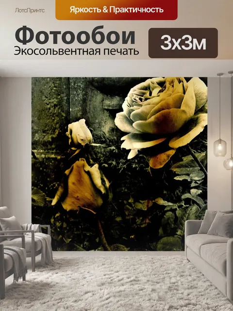 Фотообои Роза