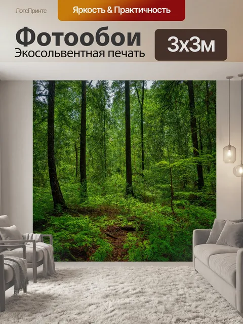Фотообои с видом на лес и природу