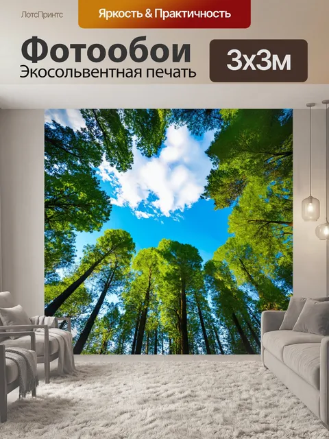 Фотообои лес с белыми облаками на голубом небе и зелеными деревьями