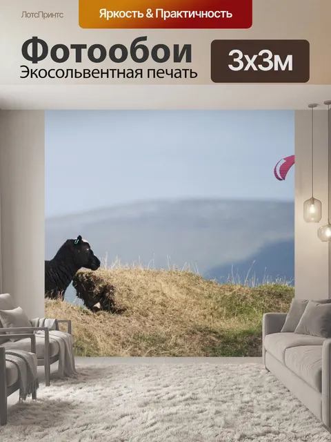 Фотообои Дельтапланеризм в Уэльсе