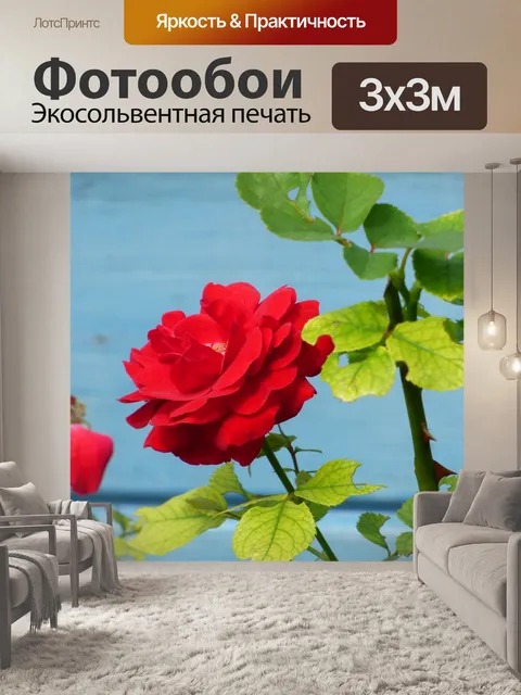 Фотообои Цветок