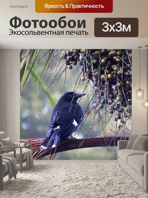 Фотообои Птица
