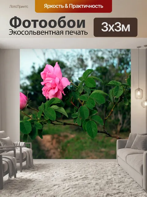 Фотообои Розы