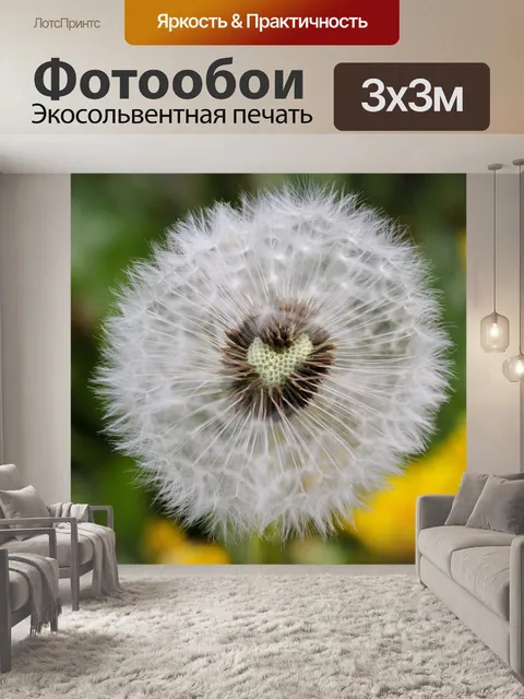 Фотообои Одуванчик