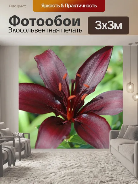 Фотообои Цветы