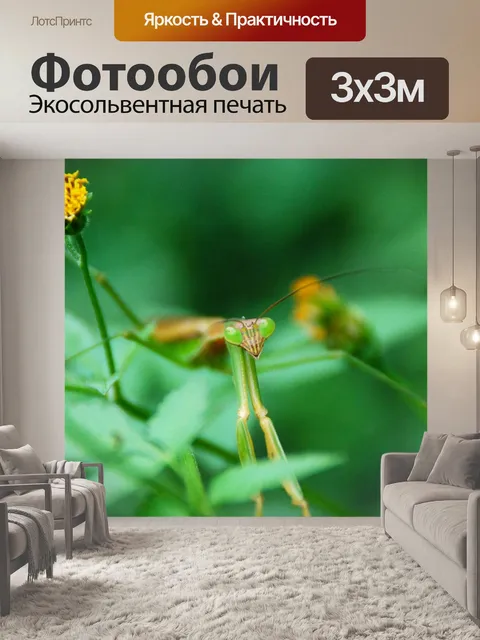 Фотообои Богомол