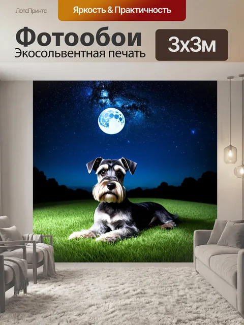 Фотообои цвергшнауцер, наблюдающий за звёздным небом, лежа на траве под ночным небом