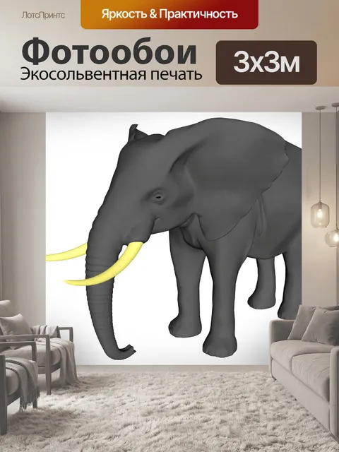 Фотообои Африканский слон
