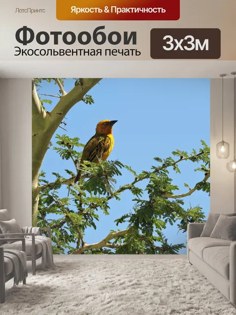 Фотообои Воробей