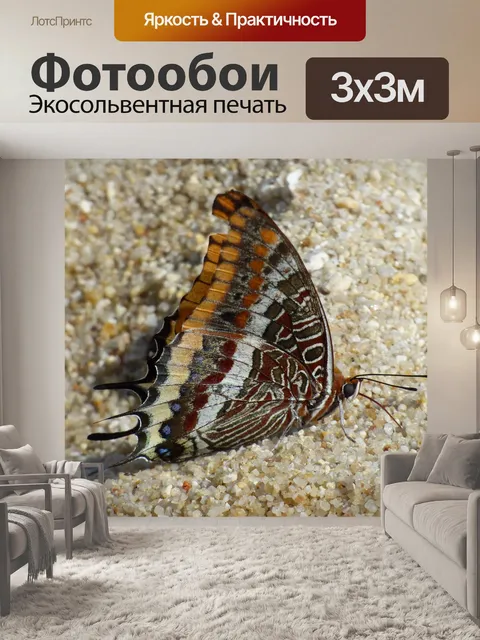 Фотообои Бабочка