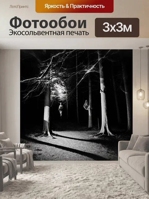 Фотообои ночной лес, где высокие деревья создают жуткие тени на земле