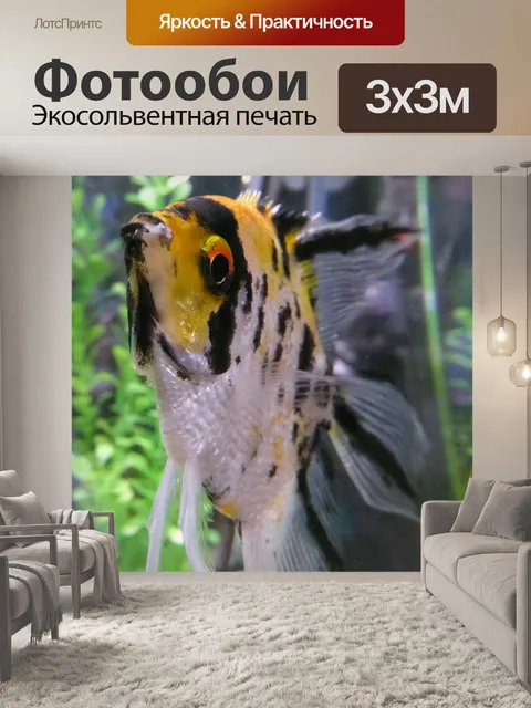 Фотообои Крупный план рыба-ангел
