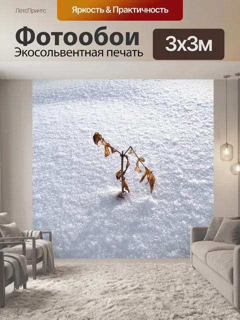 Фотообои Снег