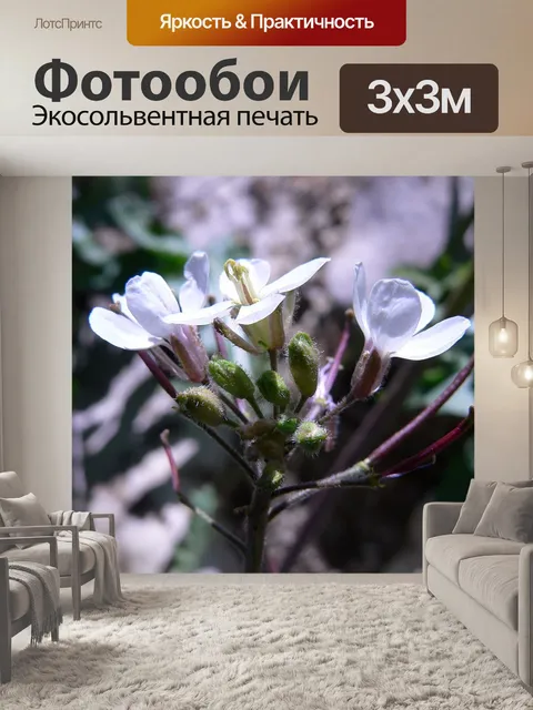 Фотообои Белый