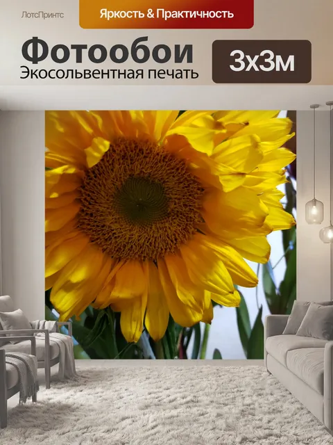 Фотообои подсолнечник