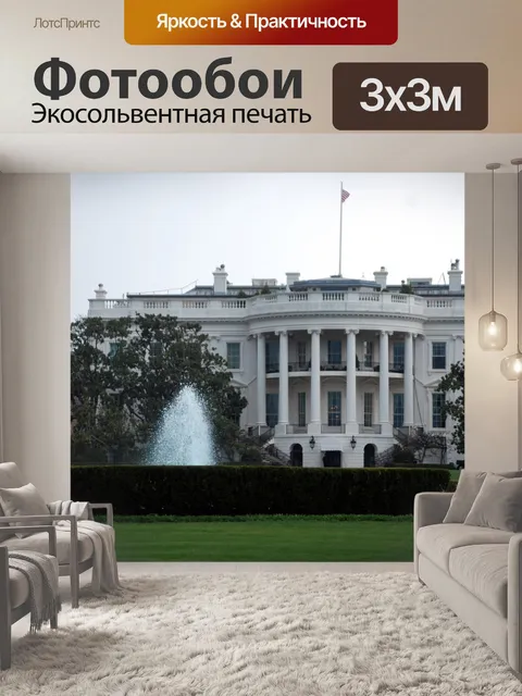 Фотообои Белый Дом 2