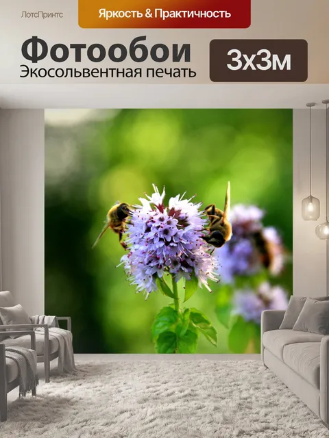 Фотообои Лестница иакова