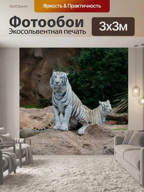 Фотообои Белый бенгальский тигр