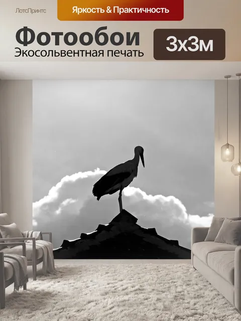 Фотообои Аист