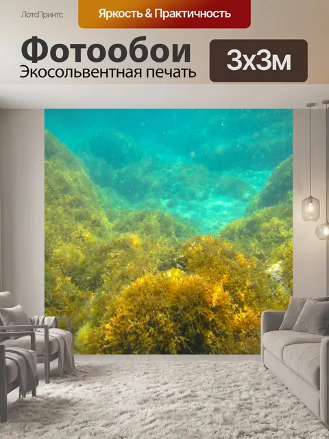 Фотообои морское дно