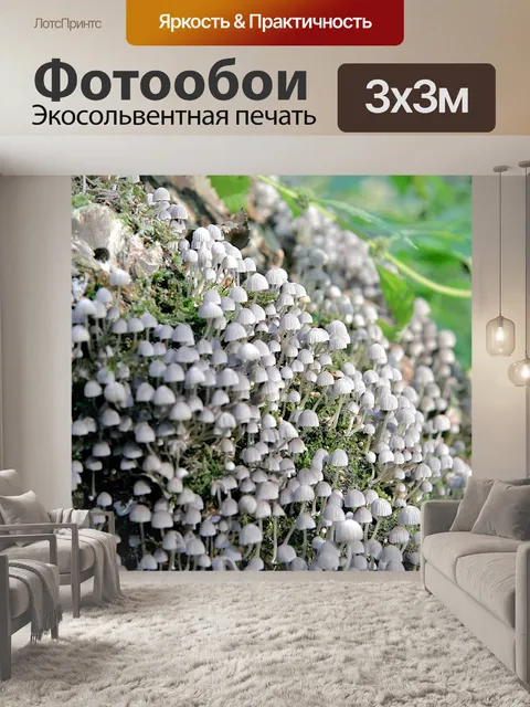 Фотообои Грибы