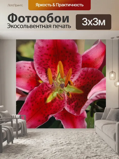 Фотообои Цветы