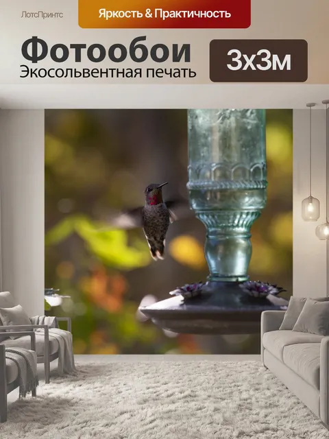 Фотообои Колибри в полете