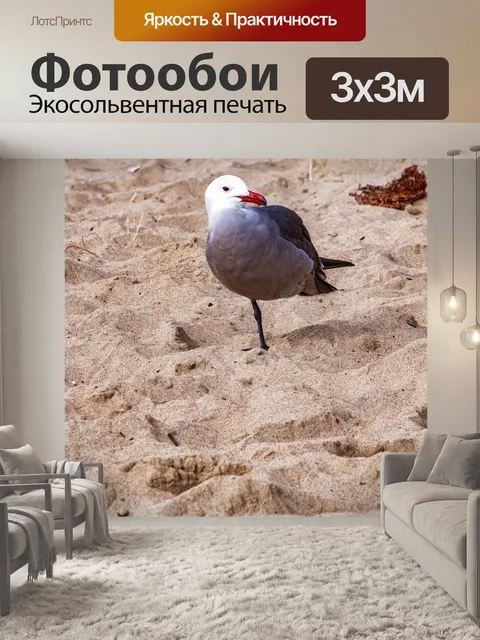 Фотообои чайка