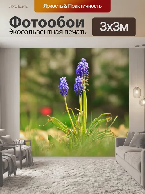 Фотообои Фиолетовый