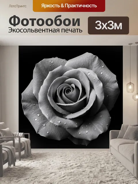 Фотообои Серебристая роза с каплями росы