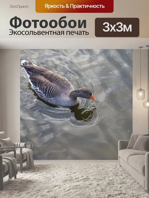Фотообои Гусь