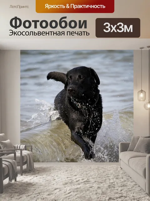 Фотообои Волна