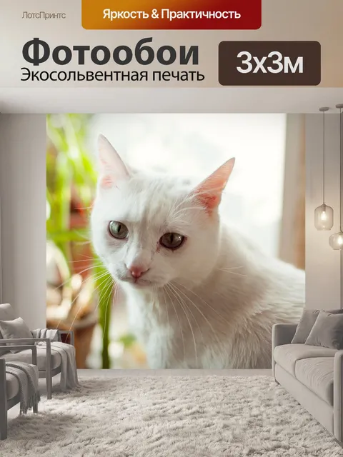 Фотообои Кот