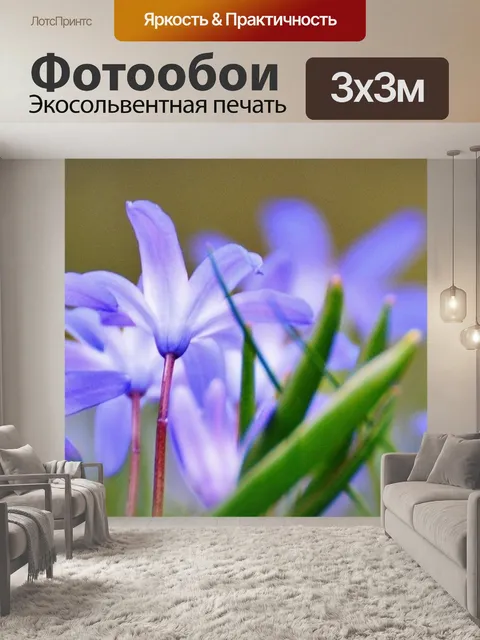 Фотообои Весенний луг