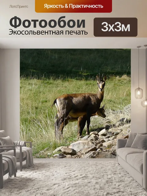 Фотообои Замша