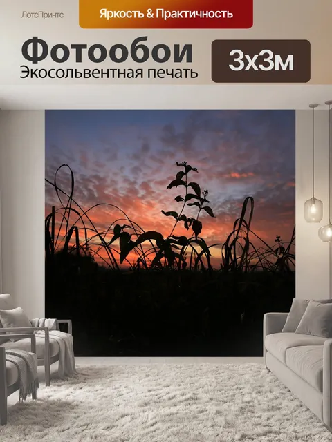 Фотообои Польша