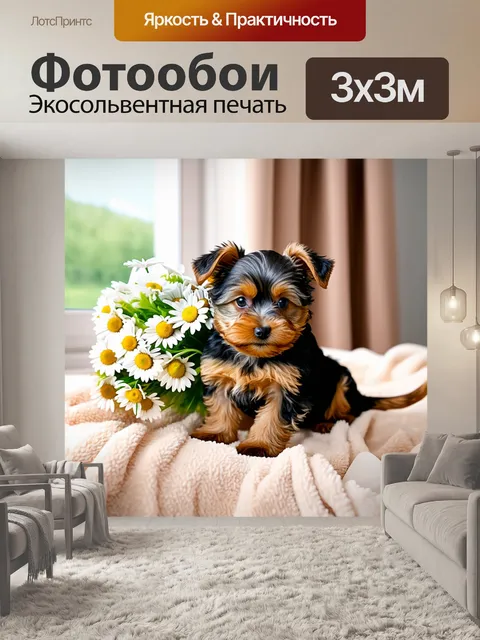 Фотообои Щенок йоркширского терьера с букетом белых ромашек на мягком покрывале в солнечной комнате с окном и шторами