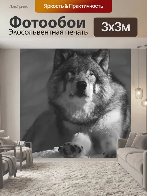 Фотообои Волк