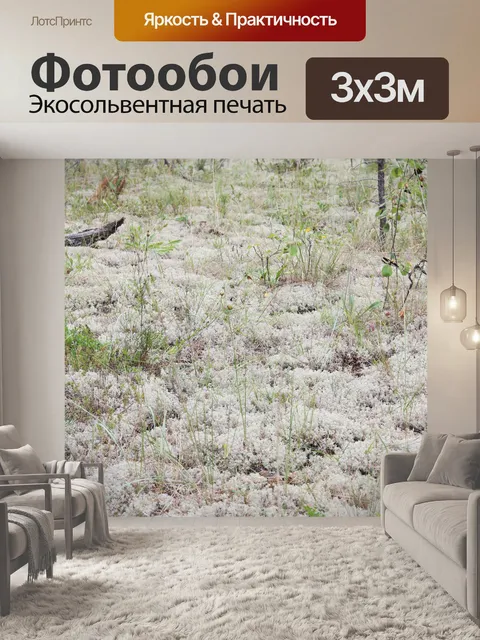 Фотообои Мосс лишайник Forest