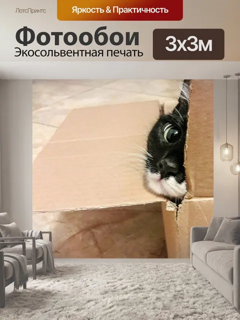 Фотообои Как